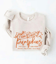 Load image into Gallery viewer, Farm Fresh Pumpkins Pullover