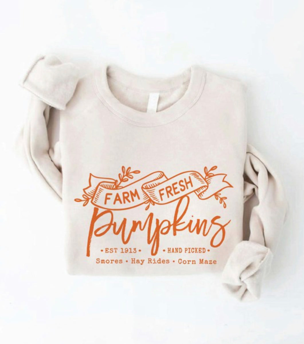 Farm Fresh Pumpkins Pullover